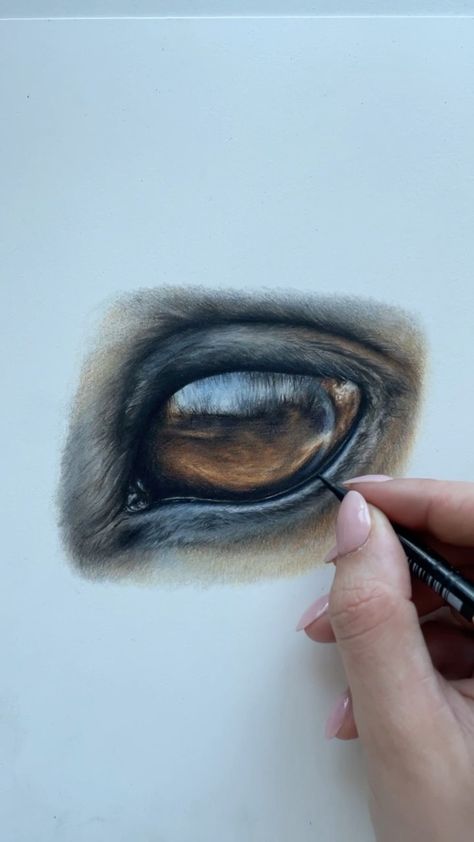 bethanyvere_art on Instagram: My 4 hour Masterclass on how you can learn how to draw this horse eye with coloured pencils and learn how to create realistic looking… Coloured Pencils, Color Pencil Drawing, Color Pencil Art, Horse Art, Learn To Draw, Master Class, Colored Pencils, Pencil, Horses