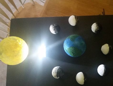 Earth science project. Lunar phases. This was my son's 6th grade project (before labeling). We used a black foam board, he painted the various size styrofoam balls (purchased from Walmart). Paint used was spray paint and acrylic paints. The sun's light was a flashlight inserted from the back (we hallowed out the center just big enough to push the flashlight in and almost to the front, but about an inch short and it illuminated the sun ball. Sun, Earth, and moons are attached with hot glue. Moon Phase Project, Earth Science Projects, Moon Science, Moon Activities, School Science Projects, Painting Moon, Earth Projects, Moon Earth, Solar System Projects