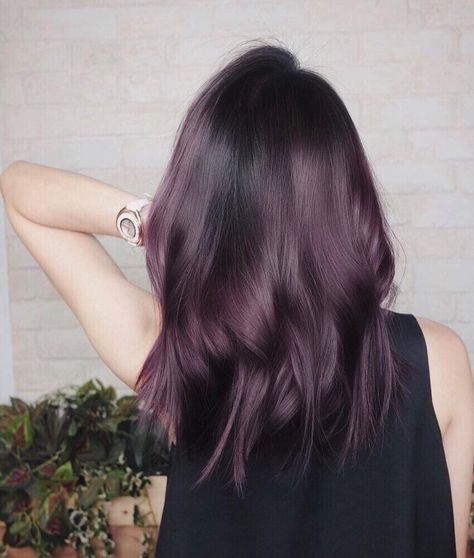 Eggplant Colored Hair, Eggplant Hair, Blackberry Hair Colour, Dark Purple Hair, Hair Color Purple, Hair Trend, Hair Color Blue, Penteado Cabelo Curto, Hair Color And Cut