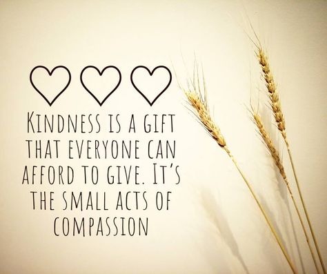 ❤Kindness is a Gift That everyone can afford to give❤ #kindness #kindnessmatters #kindness #kindnesswins #kindnessrocks #kindnessisfree #kindnessquotes #kindnessismagic #kindnesschallenge #kindnessiscontagious #kindnessrocksproject #farasiaa Kindness Challenge, Kindness Matters, Kindness Rocks, Kindness Quotes, June 22, Canning, Quotes, On Instagram, Gifts