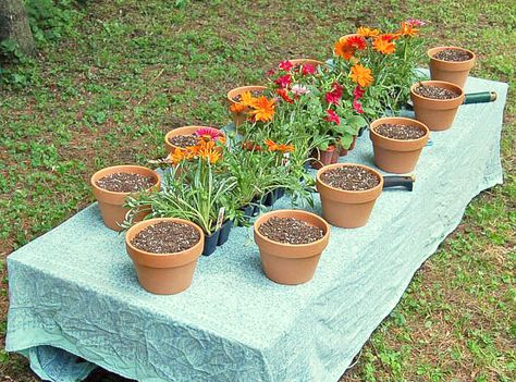 Eco Friendly Party Ideas, Nature Themed Party Favors, Nature Birthday Party Activities, Crunchy Birthday Party, Nature Birthday Party, Natural Birthday Party, Eco Friendly Birthday Party, Diy Birthday Party Favors, Plant Workshop