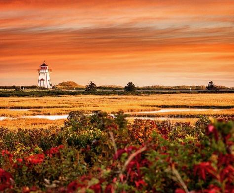 Prince Edward Island Travel, Pei Canada, Books 2024, Fall Colours, Stars Hollow, Fall Travel, Prince Edward Island, Prince Edward, Anne Of Green Gables