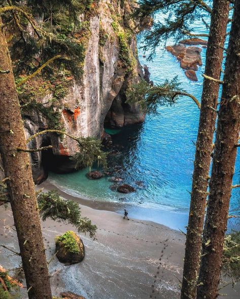 Visit the USA | Travel+Nature on Instagram: “Picture perfect hidden beach🤩. Drop a ❤ in the comments if you loved this post! . Follow @visit.the.states  for more amazing travel…” Cape Flattery Washington, Cape Flattery, Marquesas Islands, Washington Coast, Landscaping Images, Ocean Shores, Hidden Beach, Beach Adventure, Secret Beach