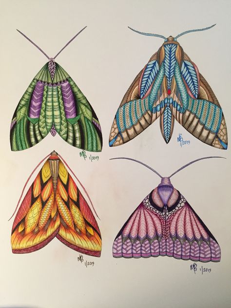 Animal Kingdom Colouring Book, Millie Marotta Animal Kingdom, Millie Marotta Coloring Book, Colouring Ideas, Millie Marotta, How To Shade, Colouring Books, Beetles, Artist Books