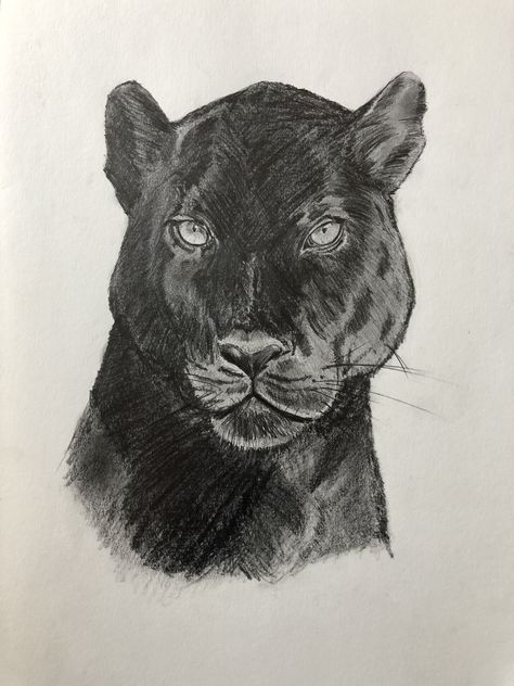 Panther Drawing, Black Panther Drawing, White Panther, Charcoal Art, Black Paper, Art References, Pencil Drawing, Black Panther, Drawing Reference