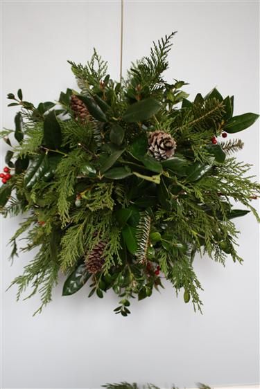 Making a kissing ball with fresh greenery. Saw one of these in passing at Home Depot today and was smitten. Hoping I can DIY. Diy Kissing Ball, Christmas Hanging Baskets, Historical Christmas, Kissing Balls, Kissing Ball, Deco Nature, Boutique Ideas, Christmas Greenery, Merry Little Christmas