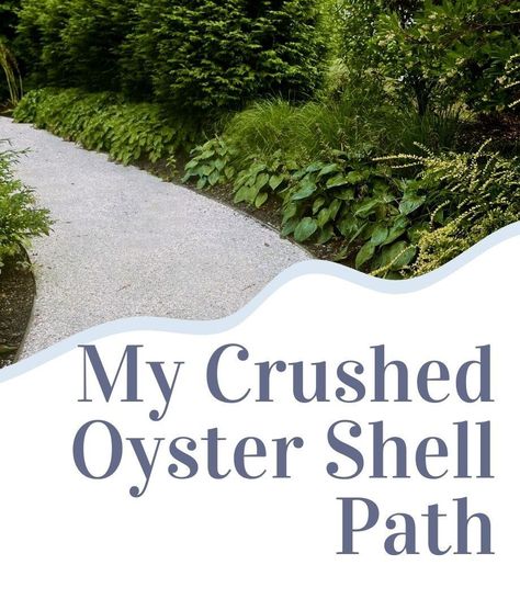 Coastal Cottage Landscaping, Beach Home Landscaping Ideas, Oyster Shell Garden, Oyster Shell Patio, Oyster Shell Driveway, Shell Landscaping Ideas, Shell Driveway, Crushed Oyster Shell Patio, Crushed Shell Landscaping