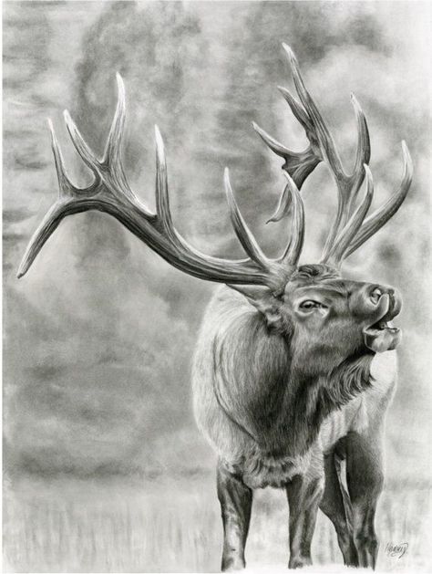 Bull Art Drawing, Elk Drawing, Elk Tattoo, Elk Pictures, Animal Sleeve Tattoo, Deer Wallpaper, Deer Drawing, Bull Art, Deer Pictures