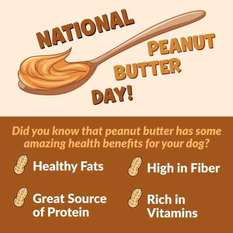 Happy National Peanut Butter Day! 🥜 A small amount of peanut butter per day can help promote a shiny coat, well-hydrated skin, and boost your pup's immune system.⁠ ⁠ #nationalpeanutbutterday #peanutbutterday #peanutbutter #healthypeanutbutter #dogtreats National Peanut Butter Day, Snuggle Puppy, Puppy Snuggles, Diy Dog Treats, Healthy Peanut Butter, Hydrated Skin, Diy Dog, Dog Treat, High Fiber