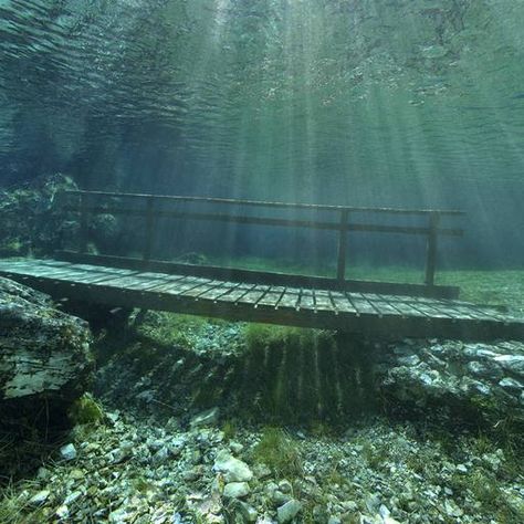 Green Lake in Austria! Hiking trails in the winter and a lake when it melts. Want to scuba dive this. Green Lake Austria, Underwater Lake, Morgan Core, Austria Hiking, Underwater Forest, Life Vibes, Weird Drawings, Kelp Forest, Aquarium Landscape