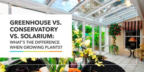 Greenhouse vs. Conservatory vs. Solarium | Plant Enclosures Sunroom Kits, Growing Plants Indoors, Plant Protection, Text Overlay, Paving Stones, Sprinkler System, Different Plants, Natural Sunlight, Green Life