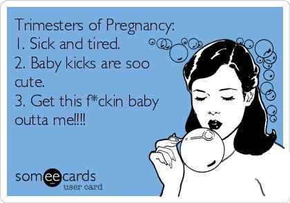 They do all of this for nine months…NINE MONTHS! Pregnancy Trimesters, Pregnancy Memes, Baby Kicking, Pregnancy Quotes, Trimesters Of Pregnancy, Pregnancy Humor, First Pregnancy, Baby Time, E Card