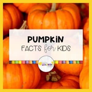 Kindergarten Autumn, Pumpkin Facts, Life Cycle Of A Pumpkin, Autumn Themed Activities, Best Nursery Rhymes, March Math, Parts Of A Pumpkin, Types Of Pumpkins, Concepts Of Print