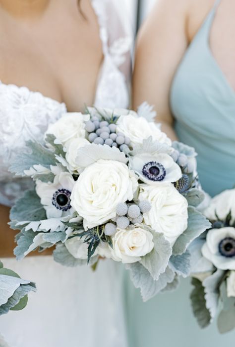 Dusty Blue and White Bridal Bouquet: dusty miller, anemones, garden roses, blue thistles, and silver brunia Dusty Blue And White Bridal Bouquet, White Bouquet Blue Accent, Dusty Blue Bridal Bouquet Real Flowers, White Mauve Blue Bouquet, Blue And White Bridal Bouquet, White Anemone Bridesmaid Bouquet, Silver Brunia, Roses Blue, Winter Wedding Flowers