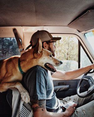 Me And My Dog, Ford Van, Hiking National Parks, Adventure Aesthetic, Man And Dog, Expedition Vehicle, Dog Travel, Rv Parks, Dog Photography