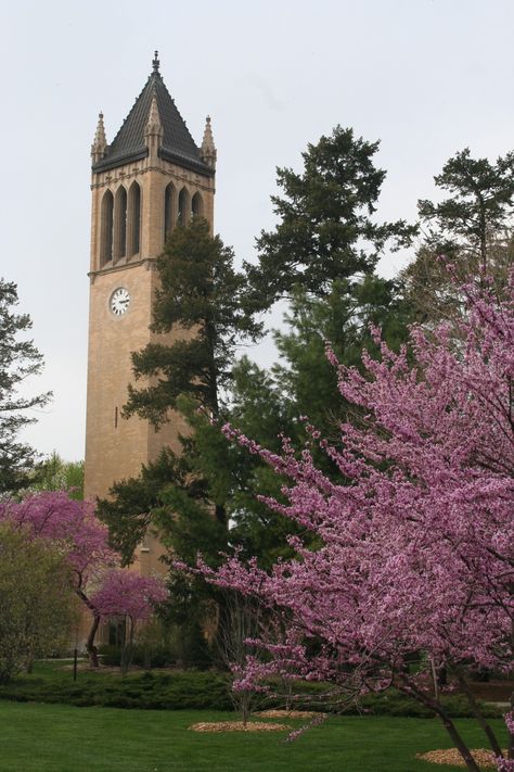 Isu Cyclones, Ames Iowa, Iowa Farms, University Of Denver, Iowa State University, 1 May, Iowa State Cyclones, Des Moines Iowa, College Campus