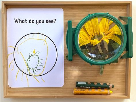 Montessori Garden Activities, Gardening Montessori Activities, Montessori Art Activities Preschool, Montessori Set Up, Montessori Provocations, Pre Primary Activities, Spring Montessori Activities, Montessori Centers, Montessori Art Activities