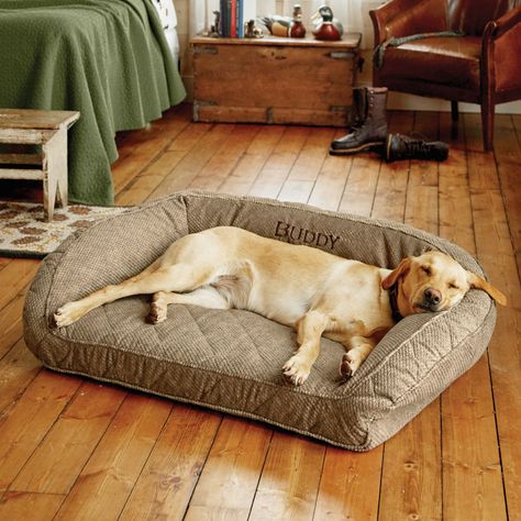 Orvis Memory Foam Bolster Dog Bed - Outdoor Dog Beds, Dog Couch Bed, Orvis Fly Fishing, Dog Magazine, Bolster Dog Bed, Multiple Dogs, Senior Dogs, Fly Fishing Gear, Memory Foam Dog Bed