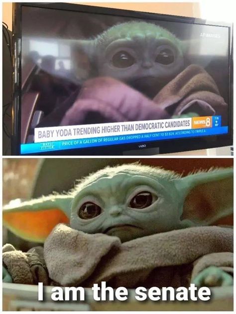 Yoda Meme, Star Wars Meme, Yoda Star Wars, Funny Star Wars Memes, Yoda Funny, Star Wars Jokes, Darth Maul, Star Wars Pictures, Star Wars Images