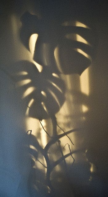 Light And Shadow Photography, Shadow Photography, Shadow Art, Shadow Play, Foto Inspiration, The Shadow, Art Abstrait, Light And Shadow, Belle Photo