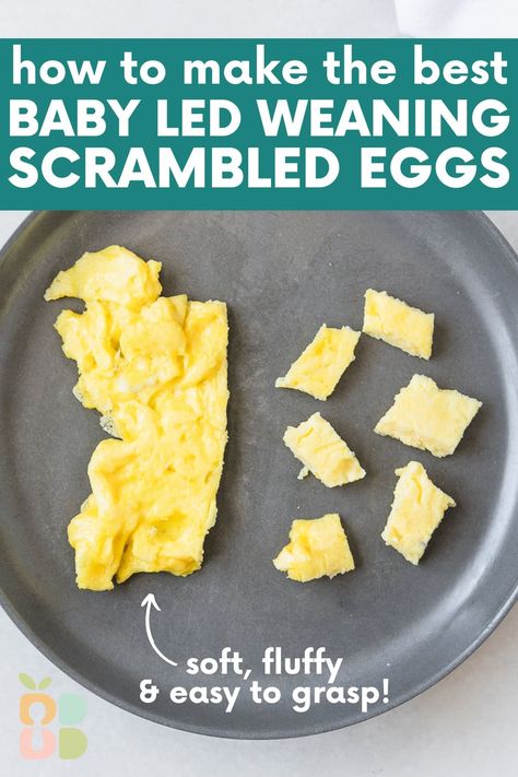 Learn how to make the perfect scrambled eggs for baby led weaning! With this simple cooking method, you can make the best scrambled eggs that babies can easily pick up and eat. Scrambled Eggs For Baby, Blw Eggs, Banana Yogurt Muffins, The Best Scrambled Eggs, Perfect Scrambled Eggs, Best Scrambled Eggs, Eggs In A Basket, Scrambled Eggs Recipe, Baby Recipes