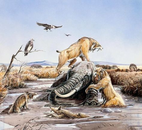 Tar Pit, Iron Man Drawing, Sabertooth Tiger, Prehistoric Man, Prehistoric World, Ancient Animals, Prehistoric Art, Paleo Art, Extinct Animals