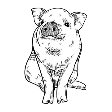 Pig Outline, Smiling Pig, Pig Tattoo, Pig Drawing, Tattoo Stencil Outline, Cute Pig, Cute Pigs, Car Drawings, Tattoo Design Drawings