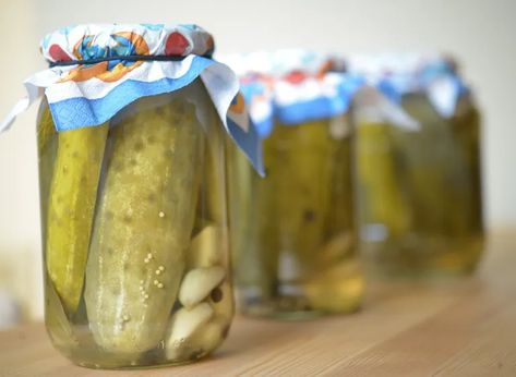 Polish Dill Pickles {Ogórki Konserwowe} - Polish Your Kitchen Polish Meatballs, Pickle Soup, Canned Meats, Canning Pickles, Spicy Pickles, Dill Pickles, Pickled Vegetables, Pickling Cucumbers, Pickle Jars