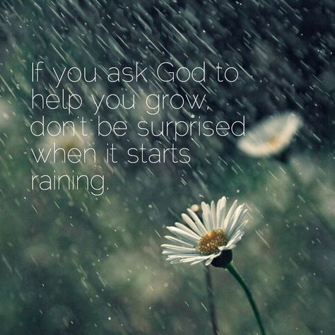 Rainy Day Quotes, Rainy Mood, Sparkle Quotes, Yoga Themes, Rain Quotes, Ask God, Study Quotes, Prayer Verses, Quotes For Book Lovers