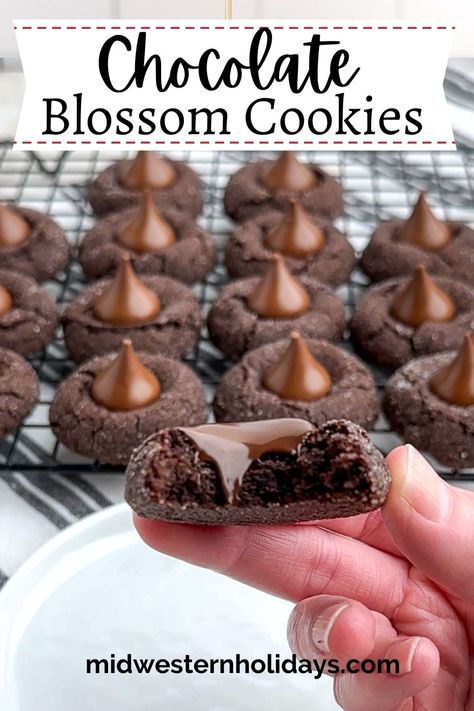 Chocolate Blossoms Christmas Kiss Cookies Recipes, Hershey Kiss Cake Mix Cookies, Chocolate Blossom Cookies Holidays, Hot Cocoa Kiss Cookies, Brownie Cookies With Hershey Kisses, Chocolate Blossoms Cookies, Hot Cocoa Blossom Cookies, Christmas Kisses Cookies, Hershey Kiss Blossom Cookies