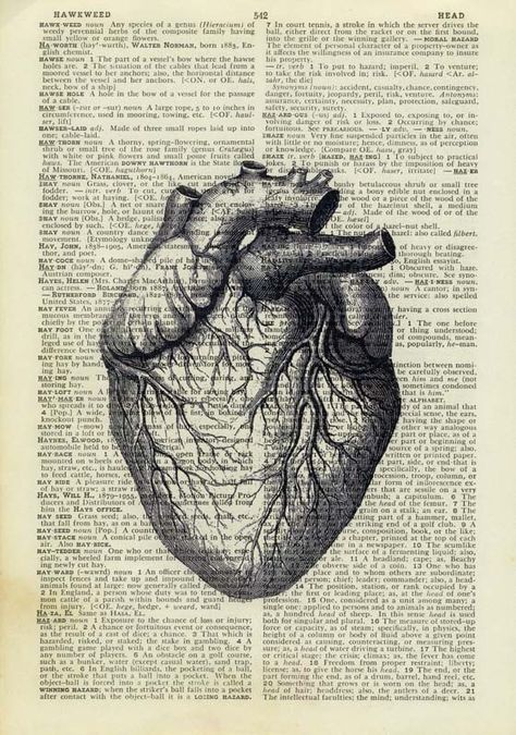 jean cody Book Page Art, Human Anatomy Art, Medical Art, Photo Vintage, Vintage Poster Art, Art Collage Wall, Vintage Heart, Anatomy Art, Heart Art