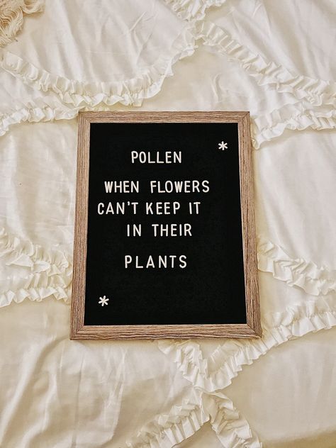 April Felt Board Quotes, April Message Board Quotes, Spring Felt Board Quotes, Funny Spring Letterboard Quotes, April Letter Board Quotes, Spring Letterboard Quotes, Easter Letterboard Quotes, Spring Funny Quotes, Spring Quotes Funny