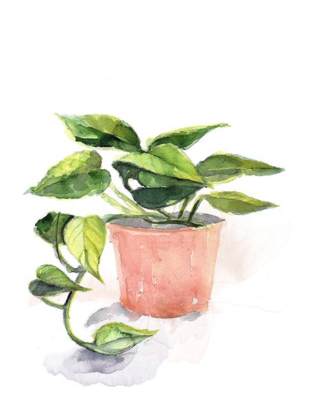 Watercolor Pothos Plant Print Minimalist Art, Modern Art, Potted Plant, Boho Wall Decor - Etsy Easy Plant Watercolor Paintings, House Plants Art, Potted Plant Watercolor, House Plant Watercolor, Pothos Watercolor, Watercolor Inspo Aesthetic, Watercolor Pothos, Watercolor Plant Paintings, Plant Art Aesthetic