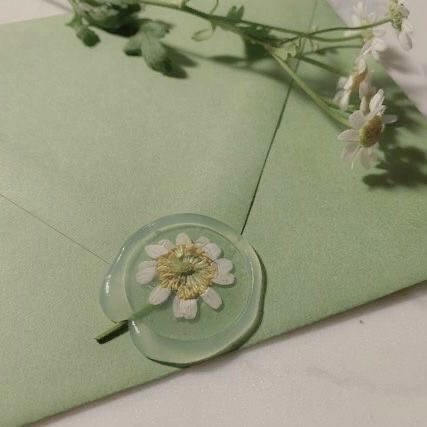 Mint Aesthetic, Valentines Day Cards Handmade, Mint Green Aesthetic, Sage Green Wallpaper, Green Envelope, Dark Green Aesthetic, Green Envelopes, Valentines Flowers, Green Theme