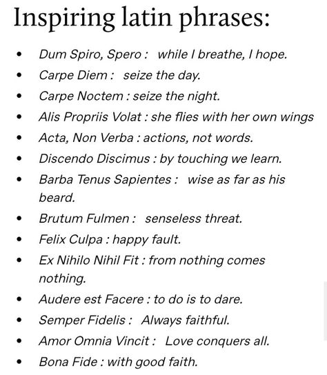 Pretty Latin Phrases, Inspiring Latin Phrases, One Sided Pining Prompts, Pretty Phrases In English, Deep Latin Phrases, Wiccan Phrases, Latin Phrases Worth Knowing, Latin Bio Ideas, Beautiful Greek Words And Meanings