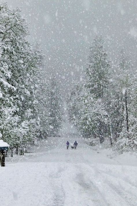 Winter Schnee, Winter Szenen, Winter's Tale, Winter Love, Winter Magic, Winter Scenery, Winter Storm, Winter Beauty, Snow Scenes