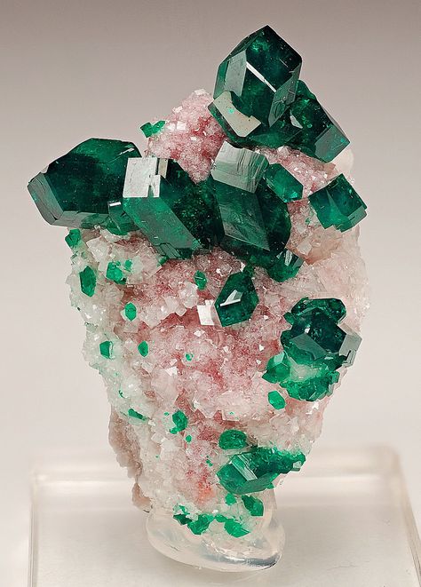 Dioptase Minerals Crystals Rocks, Crystal Aesthetic, Geology Rocks, Rock Minerals, Pretty Rocks, Beautiful Rocks, Rock Collection, Mineral Stone, Minerals And Gemstones