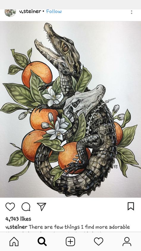 Always wanted a Florida tattoo to remind me of home and if alligators and oranges don't scream of the swampy state. Thanks to the artist for the inspiration, it's beautiful. Alligator Tattoo, Florida Tattoos, Tier Tattoo, Nature Tattoos, Arte Fantasy, Watercolor Texture, Animal Tattoos, Japanese Tattoo, 그림 그리기