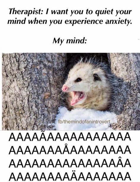 Therapist Humor, Therapy Humor, Positive Memes, Introverts Unite, Funny Animal Memes, Funny Animal, Tumblr Funny, Animal Memes, Bones Funny