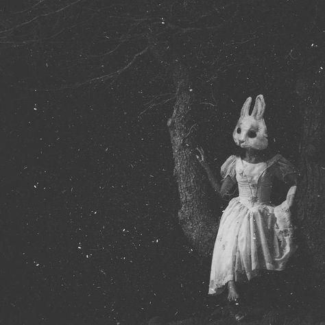 Creepy Photography, Alice In Wonderland Aesthetic, Creepy Vintage, Dark Images, Dark Photography, Creepy Cute, Aesthetic Grunge, Horror Art, Vintage Aesthetic