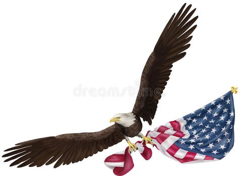 Eagle Flying Holding US Flag vector illustration Eagle Holding Flag, Artsy Projects, Eagle Flying, Bird Flying, Eagle Bird, Standing Ovation, Flag Vector, Background Illustration, Us Flag