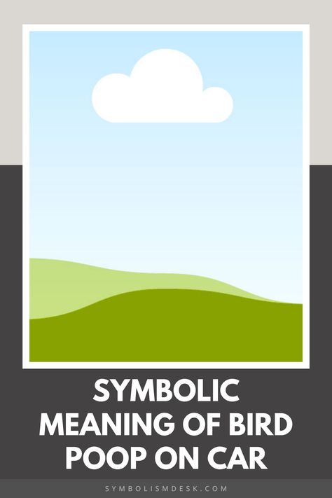 Discover the symbolic meaning of bird poop on a car and why it's often seen as a sign of bad luck—or even unexpected fortune! Uncover the cultural beliefs tied to this occurrence. #Symbolism #BirdPoopMeaning #CulturalBeliefs Car Symbols, Cultural Beliefs, Spiritual Beliefs, Urban Legends, Bad Luck, A Sign, Higher Power, A Car, Meant To Be