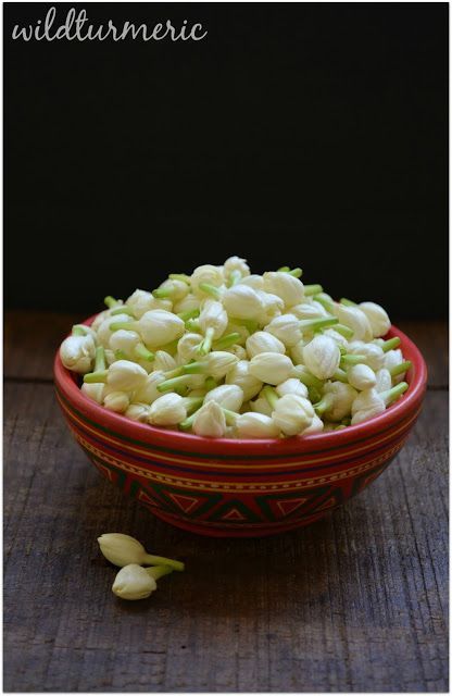 5 Top Benefits & Uses Of Jasmine Flower | Mogra | Sampaguita For Hair, Skin & Health | wildturmeric Jasmine Flower Tea, Arabian Jasmine, Indoor Flowering Plants, Jasmine Plant, Jasmine Flower, Flowers Petals, Most Beautiful Flowers, Flower Quotes, Beautiful Rose Flowers