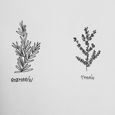 Rosemary And Thyme Tattoo, Herbs Tattoo, Rosemary Tattoo, Herb Tattoo, Tatts Ideas, Thyme Plant, Plant Drawing, S Tattoo, Body Mods