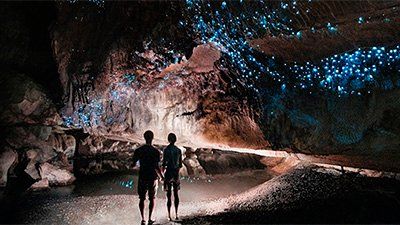 Animals for Kids | Kids Answers Glowworm Caves New Zealand, Waitomo Caves, Glow Worm Cave, Te Anau, Glow Worm, Weird Creatures, Magical Places, Belleza Natural, My New Room