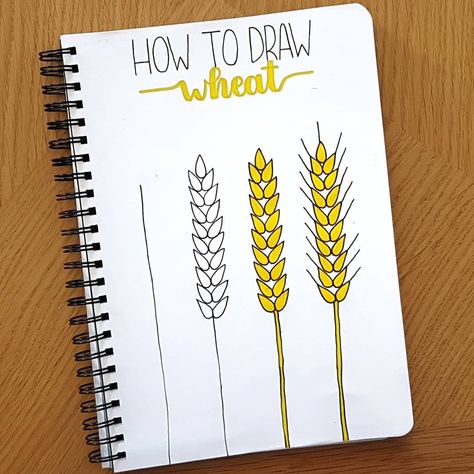 How to draw wheat🌾💛 Wheat Drawing Easy, How To Draw Bread, Wheat Doodle, Wheat Drawing, Waldorf Art, How To Draw Braids, Study Topics, Bullet Journal 2019, Doodle Ideas