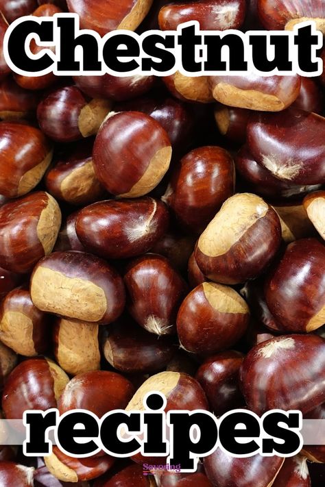 These recipes turn simple chestnuts into yummy meals and treats. In your kitchen, discover how to make tasty dishes with chestnuts. From savory dishes to sweet desserts, you'll learn easy ways to enjoy the deliciousness of chestnuts. But first, learn how to cook chestnuts and peel them! https://www.savoringthegood.com/chestnuts-recipes/ Italian Chestnut Recipes, Chestnut Uses, Chestnut Cookies Recipes, Roasting Chestnuts In Oven, Chestnut Recipes Savory, Water Chestnuts Recipes, Chestnut Stuffing Recipes, Chestnut Desserts, Chestnuts Recipes