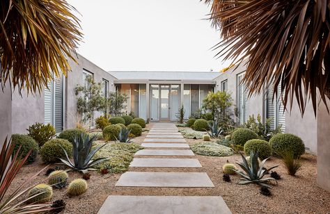 Tasked with designing a garden for a beach home ideal for the coastal conditions and salty sea breeze, Phillip Withers have created an experience through landscape, connecting the house to its native surroundings.  Designed as five differing yet connected sections; the front and side of the house, a courtyard garden, the rear of the house and a nature strip, each section being defined by a mix of native and exotic plant life such as the local Dromana toppings. Contemporary Coastal, Coastal Gardens, Desert Garden, Outdoor Entertaining Area, Colorful Plants, Entry Way, Contemporary Landscape, Edible Garden, Exotic Plants