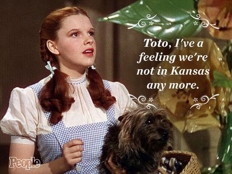 Wizard Of Oz Judy Garland Wizard Of Oz, Dorothy Cosplay, Home Movie Quotes, Kentucky Hiking, Not In Kansas Anymore, Wizard Of Oz Quotes, August Rush, Wizard Of Oz Movie, Dorothy Wizard Of Oz