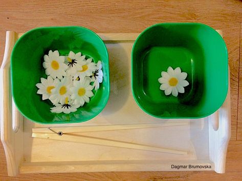 Spring Ideas for the Preschool Classroom Spring Lessons, Spring Words, Spring Ideas, Spring Theme, Preschool Classroom, Montessori Activities, Classroom Activities, Dog Bowls, Montessori